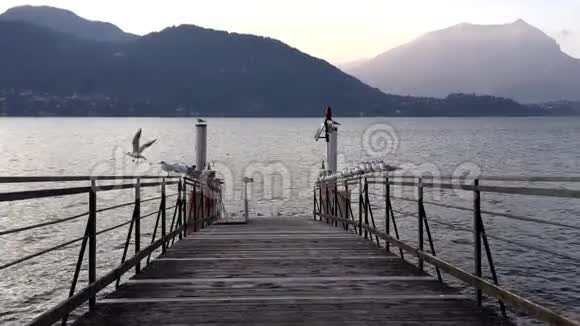 科莫湖上有海鸥的码头视频的预览图