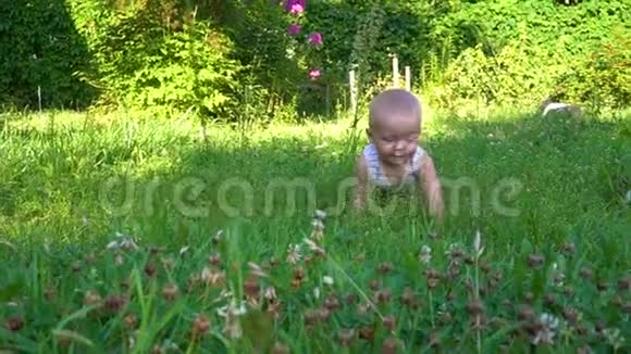 小宝宝坐在草地上爬行视频的预览图