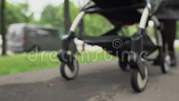 年轻的母亲推着婴儿车视频的预览图