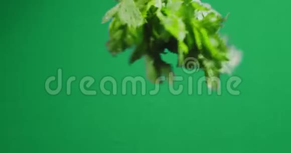 一捆鲜绿的芹菜视频的预览图