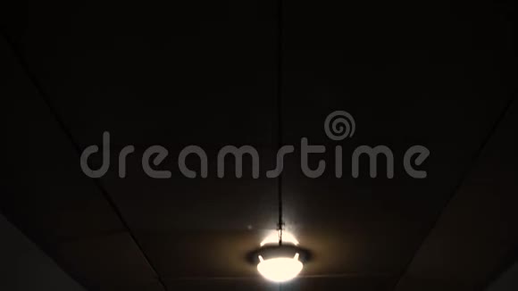 地下室的灯泡视频的预览图