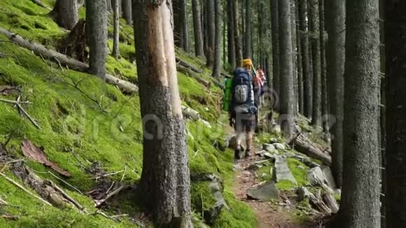 家人在山林徒步旅行视频的预览图