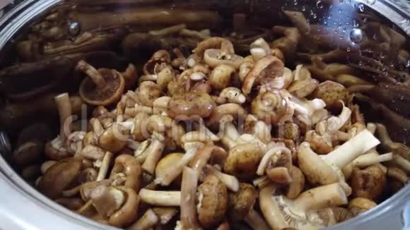 锅中的森林蘑菇视频的预览图