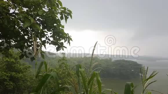 下雨时美丽的湖景视频的预览图