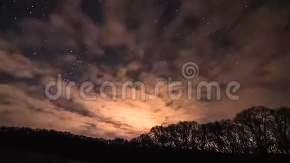 星星飞过森林视频的预览图