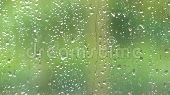 窗户上的水滴视频的预览图