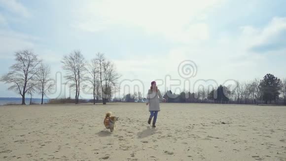带着科吉狗在海滩边奔跑的女孩视频的预览图