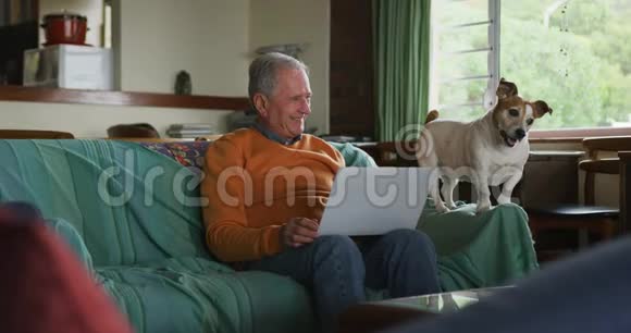 老人和他的狗在家沙发上视频的预览图