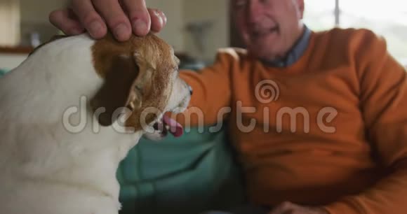 老人和他的狗在家沙发上视频的预览图