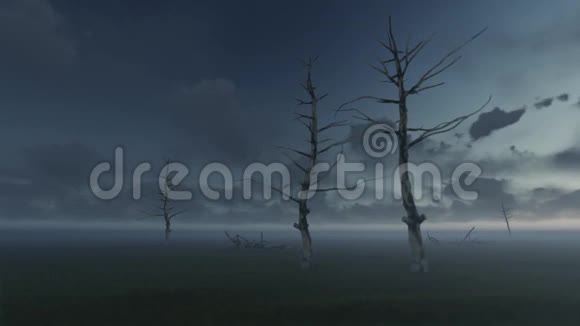 有雾的死树时间流逝视频的预览图
