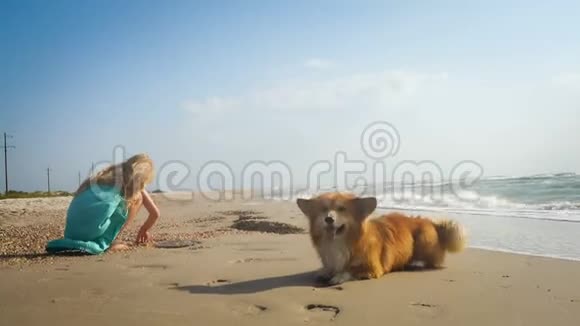 带着狗在海边的小女孩视频的预览图