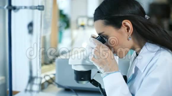 在实验室里用显微镜工作的漂亮女人视频的预览图