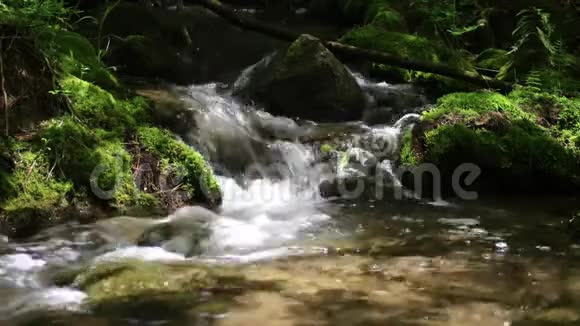 松江流经长满青苔的岩石视频的预览图