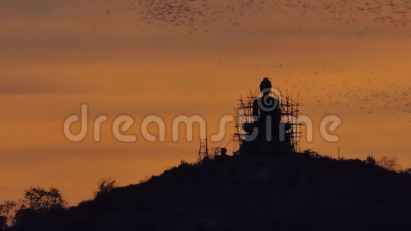 一群蝙蝠在日落时飞翔视频的预览图