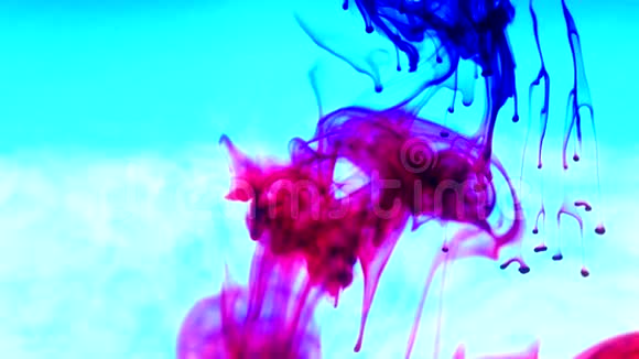 墨水在水里彩色墨水在水中的反应产生了抽象的云状物视频的预览图