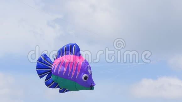 天空中一只鱼形风筝视频的预览图