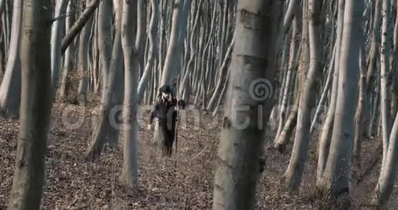 在森林中行走的旅行者视频的预览图