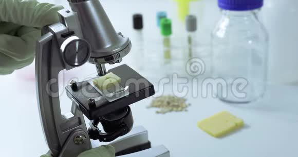 实验室科学家用显微镜检查奶酪品质视频的预览图