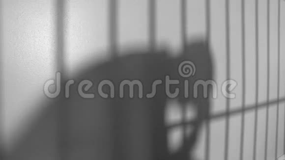 监狱中的剪影和阴影5分之一BW版视频的预览图