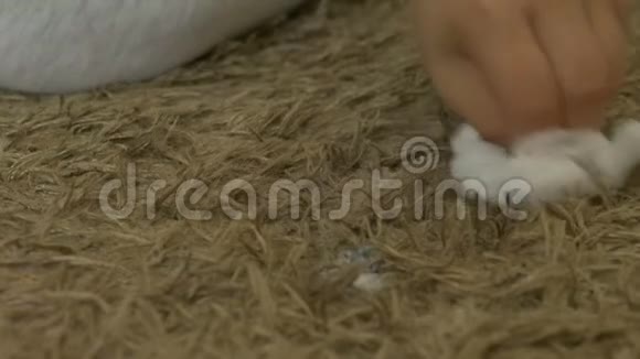 儿童擦脏地毯视频的预览图