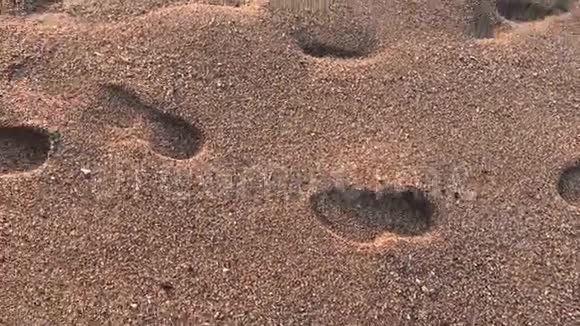 海沙上的脚印视频的预览图