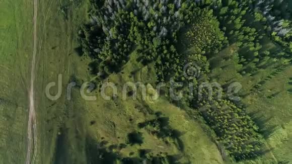 鸟瞰田野和森林视频的预览图