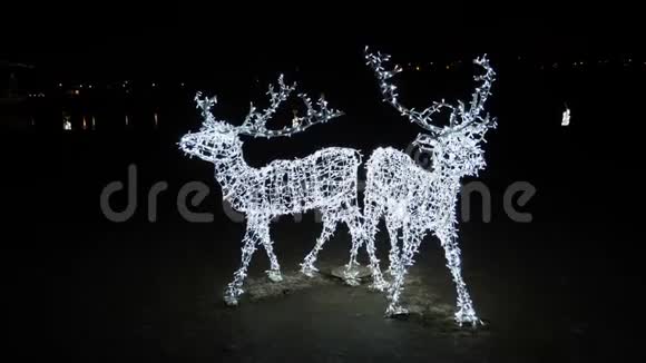 12月在立陶宛考纳斯夜晚城市的圣诞气氛在考纳斯城堡前的照明者视频的预览图