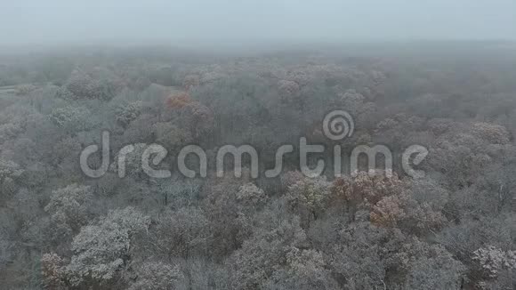 初雪视频的预览图