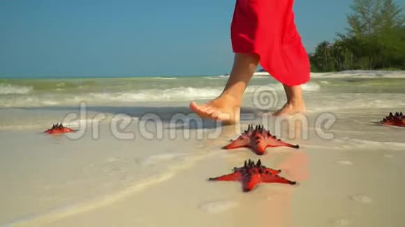 两帧视频热带白沙海水中有红海星小鱼岛上的海星一个女人视频的预览图