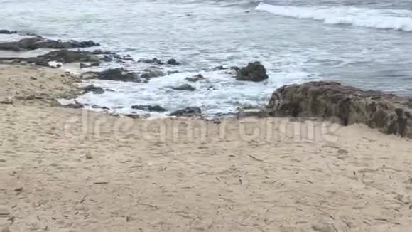 热带海滩有雨7视频的预览图