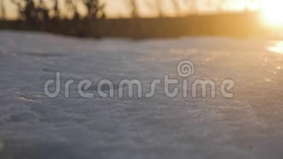 日落时分的特写雪景视频的预览图