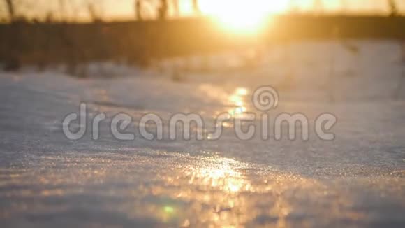 日落时分的特写雪景视频的预览图