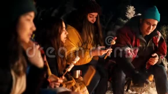 一群年轻人坐在冬天的森林里油炸不同种类的食物视频的预览图