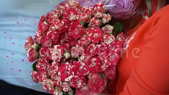 带着一束红花的女人视频的预览图