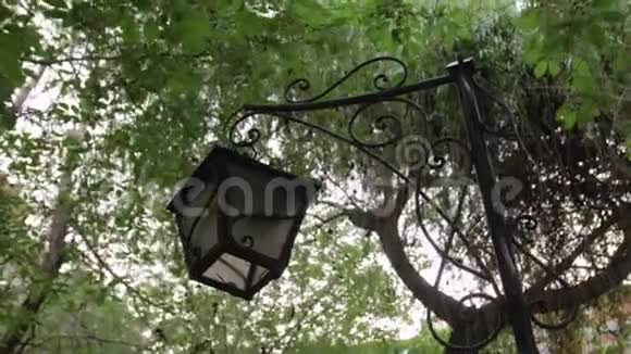 公园里的旧灯笼视频的预览图