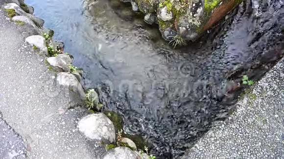 岛巴拉镇旁边的一个池塘视频的预览图
