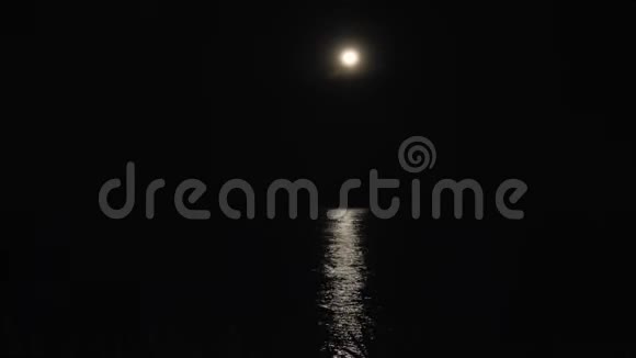 海上的月光视频的预览图
