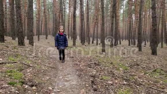 孩子们沿着一条森林小径散步视频的预览图