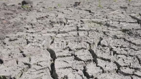 干旱和危机环境视频的预览图