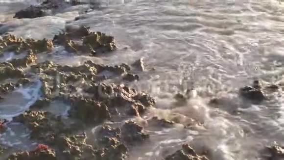 海水侵蚀着巴亚希贝2的岩石视频的预览图