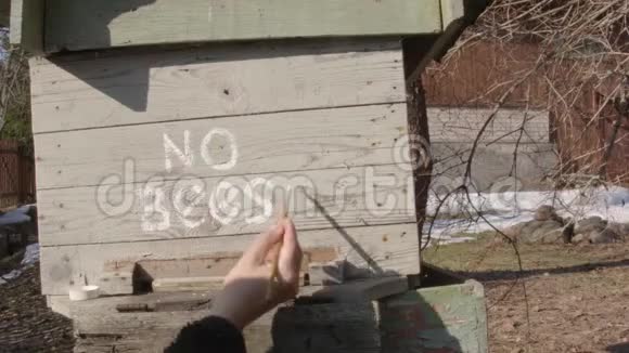 蜂巢里没有蜜蜂视频的预览图
