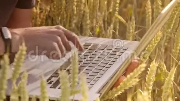 麦田农民电脑键盘打字视频的预览图