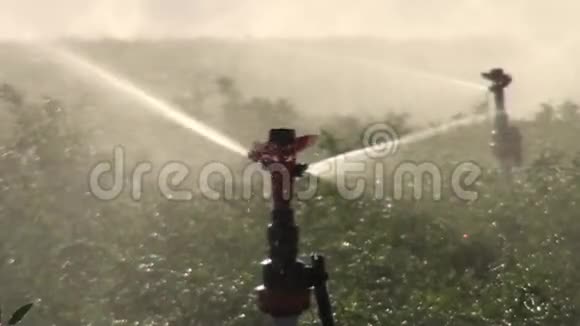 灌溉系统正在工作视频的预览图