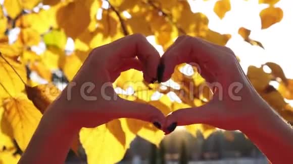 在黄秋叶的背景上女性的手呈心形视频的预览图