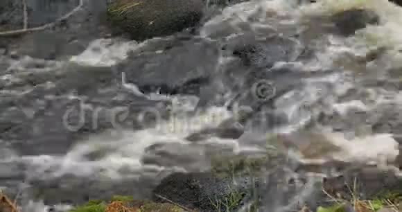 山溪全景图视频的预览图