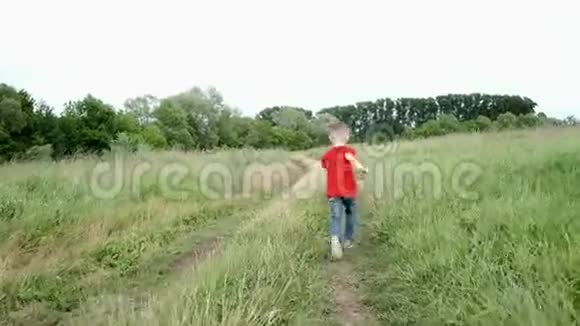夏天一个穿着红色衬衫的5岁小男孩跑过田野视频的预览图