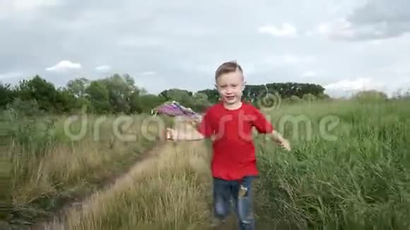 一个小男孩带着风筝跑过田野孩子在大自然中散步视频的预览图