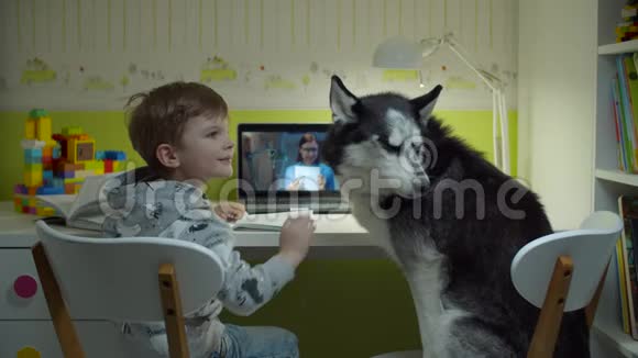 学龄前男孩与哈士奇狗坐在椅子上做在线家庭作业孩子坐在办公桌前上网学习视频的预览图