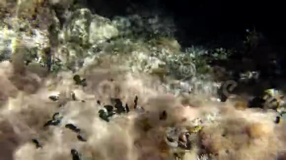 在海底视频的预览图