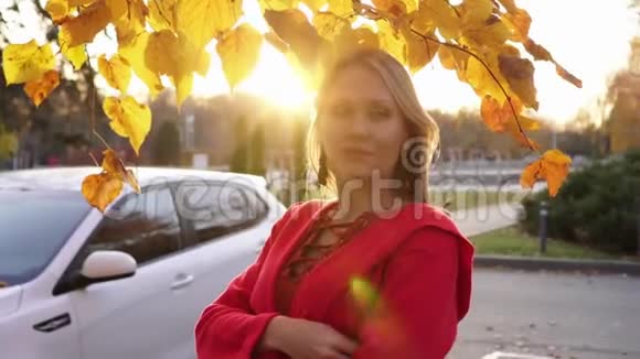秋叶和汽车背景下的年轻女商人视频的预览图